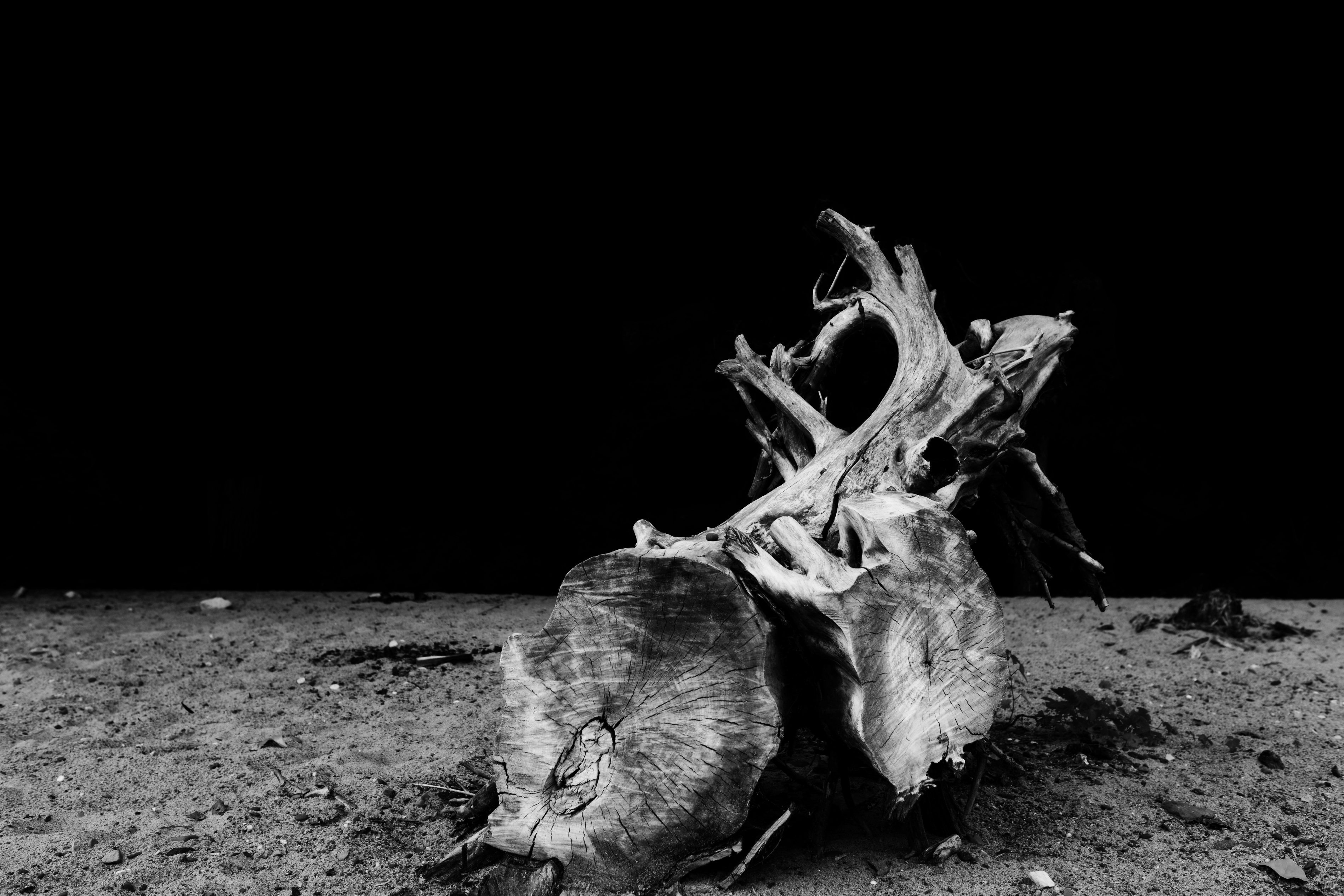 black and white photograph of a driftwood log on a beach at night