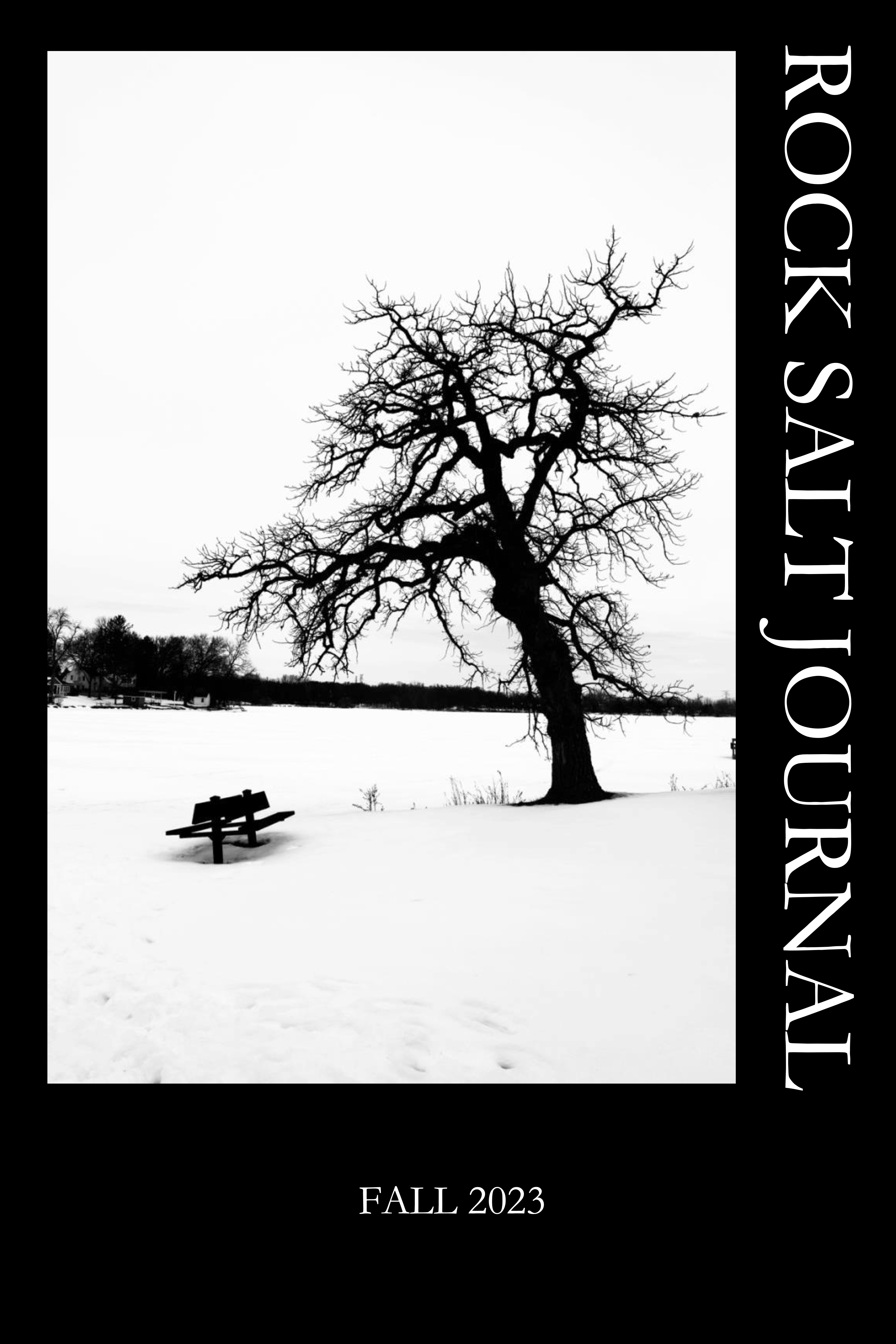 Fall 2023 – Rock Salt Journal, Volume 3 Issue 1
