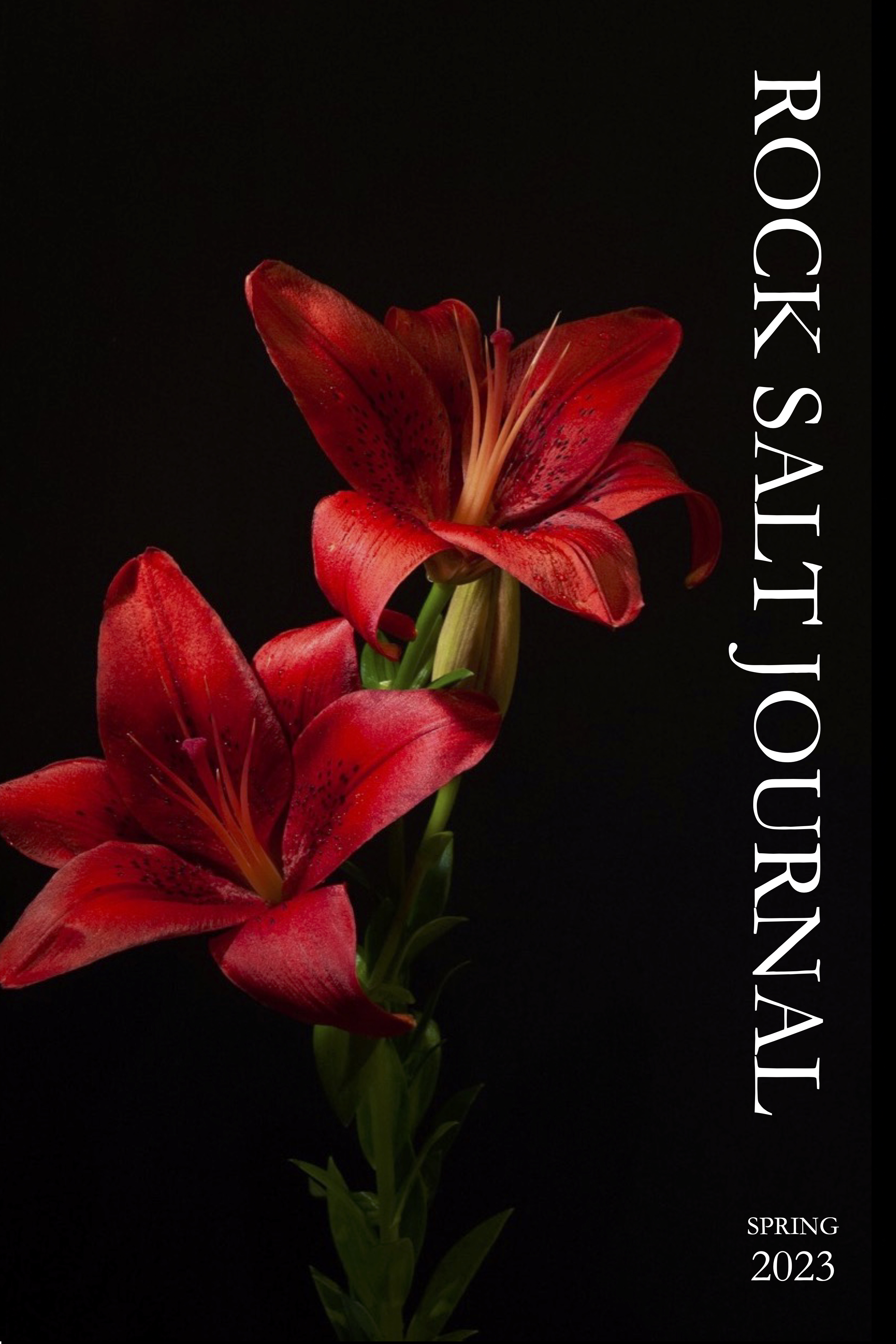 Spring 2023 – Rock Salt Journal, Volume 2 Issue 2